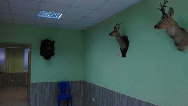 Готовый бизнес, Прокопия Артамонова, 15
