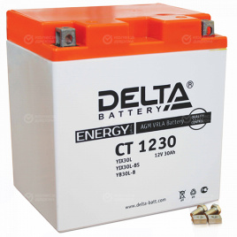 Мото аккумулятор "DELTA MOTO" CT 1230 AGM YTX30L (30Ач о/п)